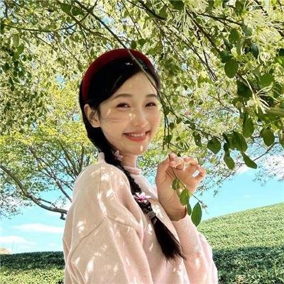 大明风华